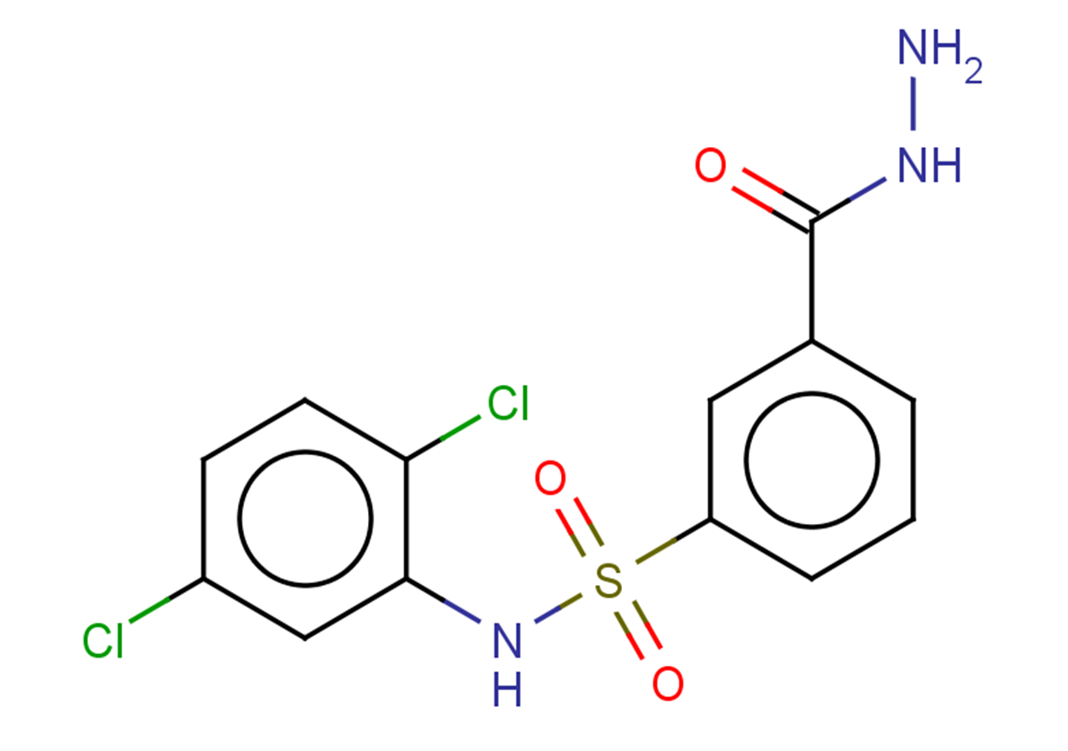N-(2,5-dichlorophenyl)-3-(hydrazinecarbonyl)benzene-1-sulfonamide