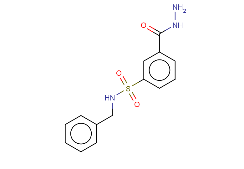 N-benzyl-3-(hydrazinecarbonyl)benzene-1-sulfonamide