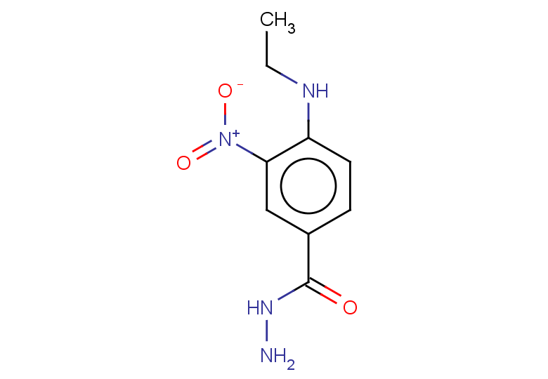 4-(ethylamino)-3-nitrobenzohydrazide