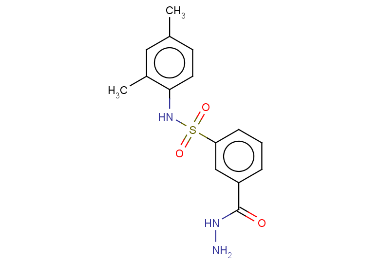 N-(2,4-dimethylphenyl)-3-(hydrazinecarbonyl)benzene-1-sulfonamide