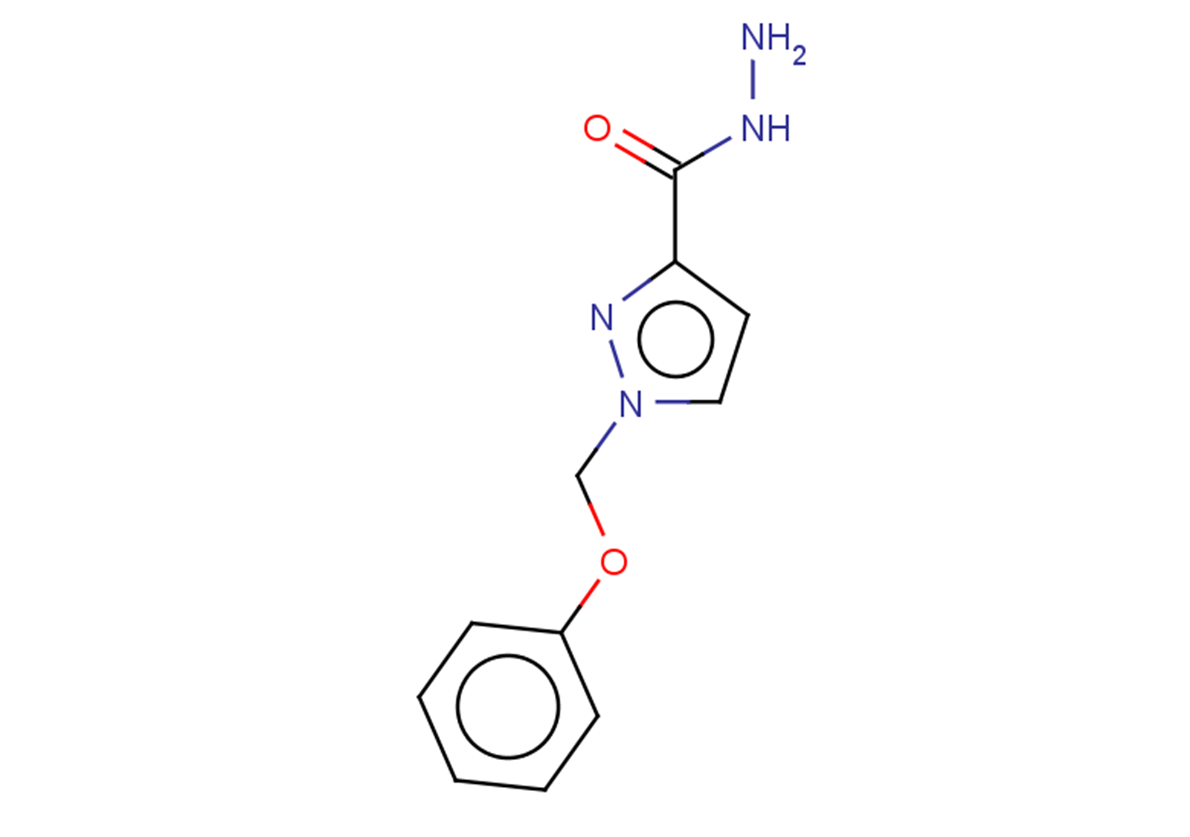 1-(PHENOXYMETHYL)-1H-PYRAZOLE-3-CARBOHYDRAZIDE