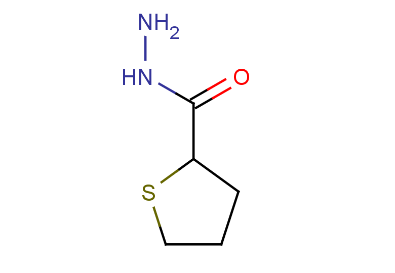 thiolane-2-carbohydrazide