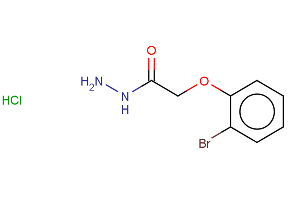 2-(2-bromophenoxy)acetohydrazide hydrochloride