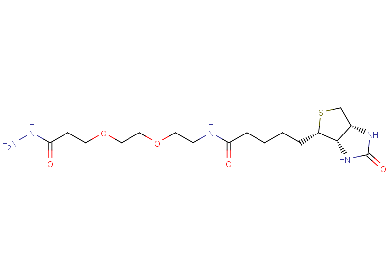 5-[(3aS,4S,6aR)-2-oxo-hexahydro-1H-thieno[3,4-d]imidazol-4-yl]-N-(2-{2-[2-(hydrazinecarbonyl)ethoxy]ethoxy}ethyl)pentanamide