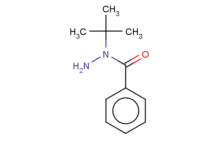N-(tert-butyl)benzohydrazide