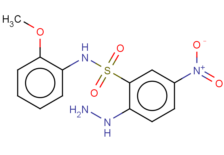 2-hydrazinyl-N-(2-methoxyphenyl)-5-nitrobenzene-1-sulfonamide