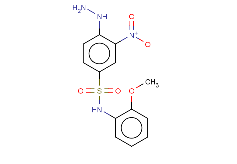 4-hydrazinyl-N-(2-methoxyphenyl)-3-nitrobenzene-1-sulfonamide