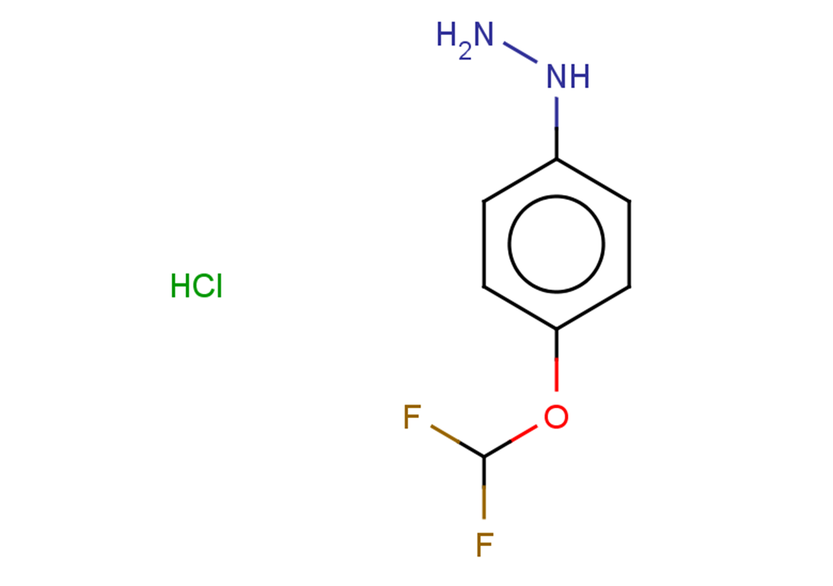 [4-(difluoromethoxy)phenyl]hydrazine hydrochloride