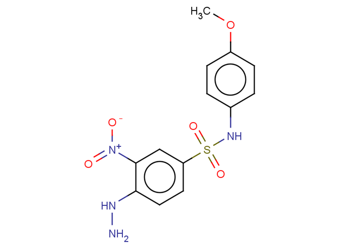 4-hydrazinyl-N-(4-methoxyphenyl)-3-nitrobenzene-1-sulfonamide