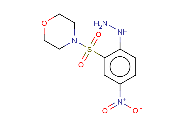 4-(2-hydrazinyl-5-nitrobenzenesulfonyl)morpholine