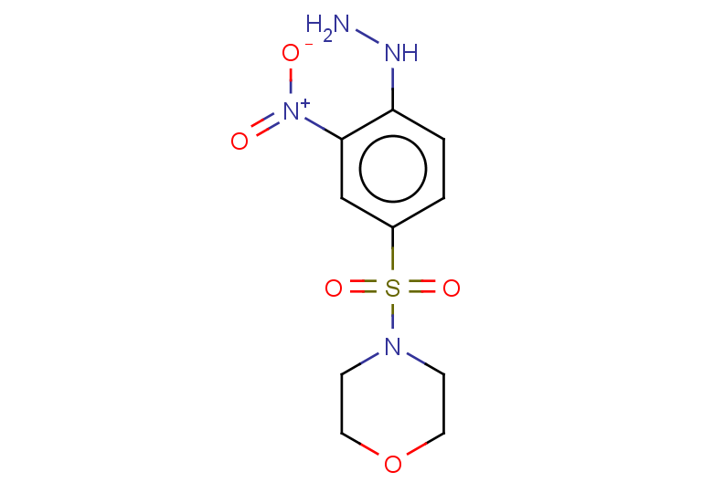 4-(4-hydrazinyl-3-nitrobenzenesulfonyl)morpholine