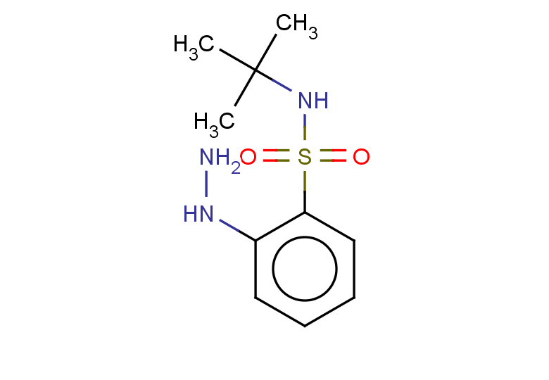 N-(tert-butyl)-2-hydrazinylbenzenesulfonamide