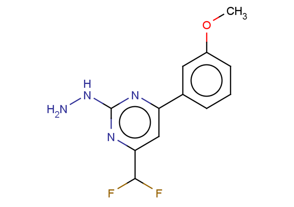 4-(DIFLUOROMETHYL)-2-HYDRAZINO-6-(3-METHOXYPHENYL)PYRIMIDINE