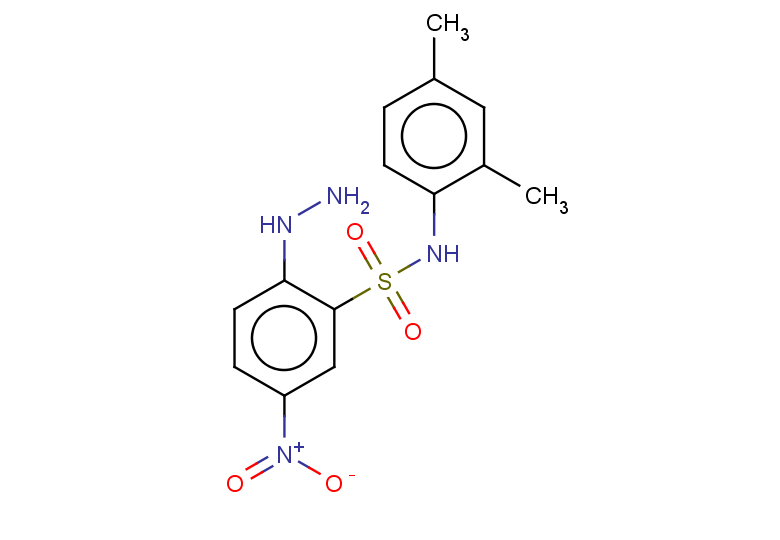 N-(2,4-dimethylphenyl)-2-hydrazinyl-5-nitrobenzene-1-sulfonamide