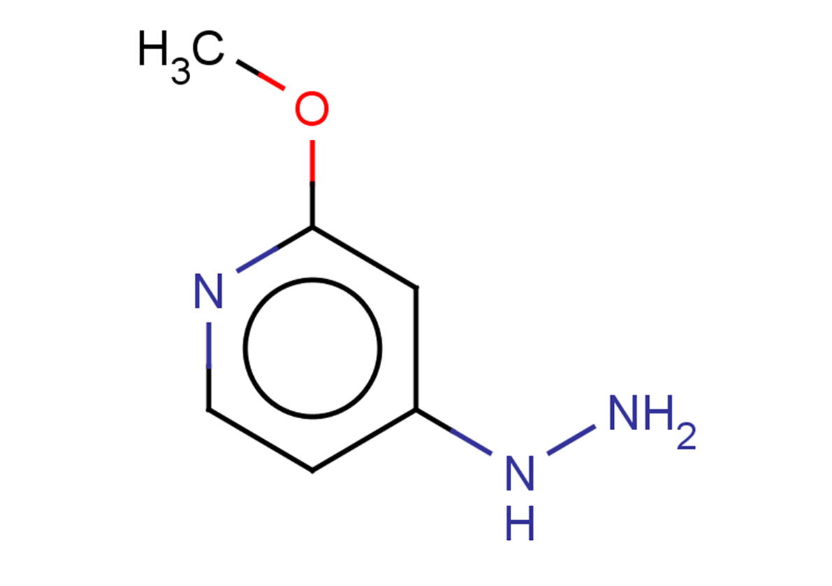 4-hydrazinyl-2-methoxypyridine