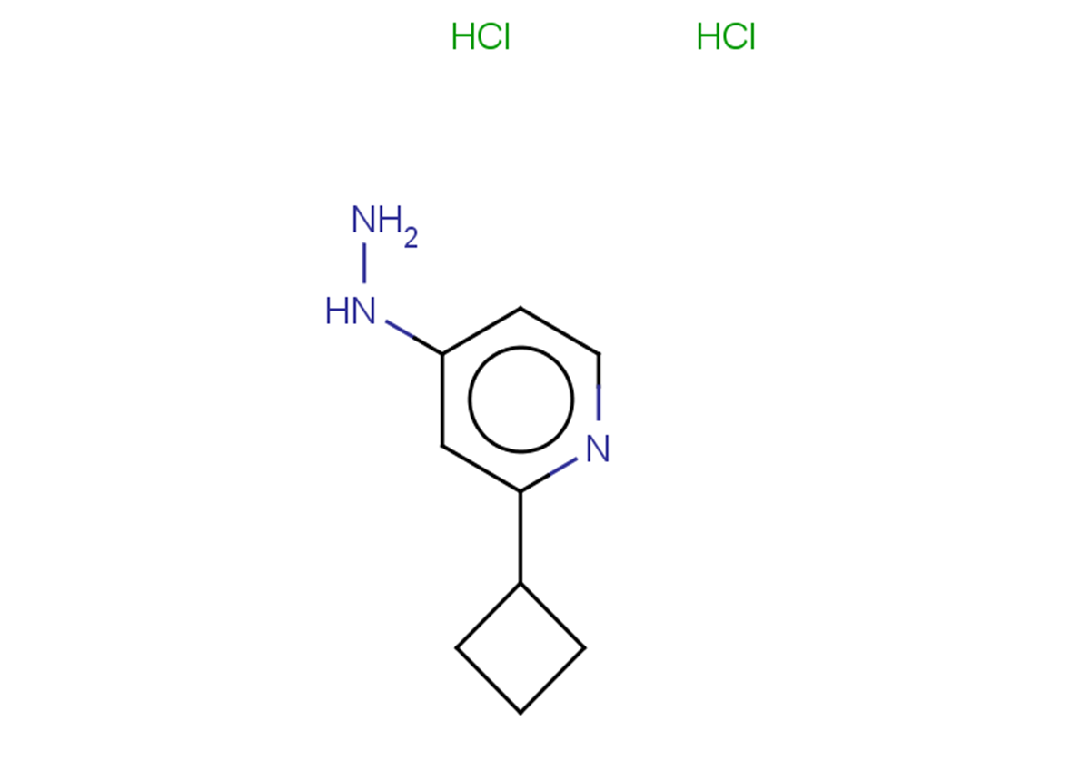 2-cyclobutyl-4-hydrazinylpyridine dihydrochloride