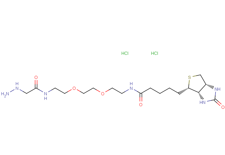 5-[(3aS,4S,6aR)-2-oxo-hexahydro-1H-thieno[3,4-d]imidazol-4-yl]-N-(2-{2-[2-(2-hydrazinylacetamido)ethoxy]ethoxy}ethyl)pentanamide dihydrochloride