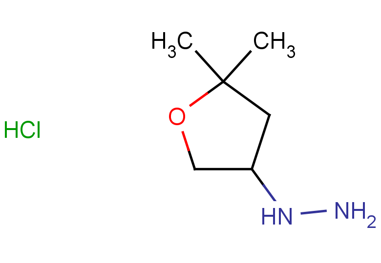 (5,5-dimethyloxolan-3-yl)hydrazine hydrochloride