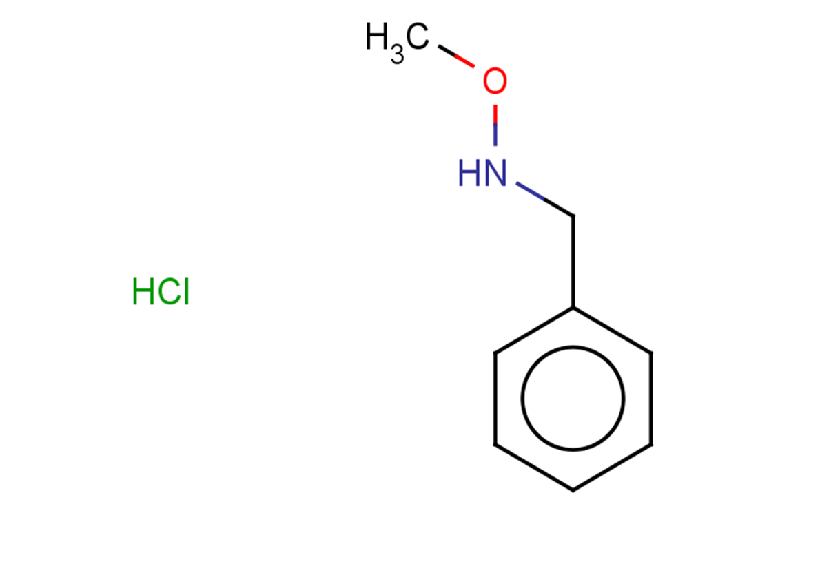 benzyl(methoxy)amine hydrochloride