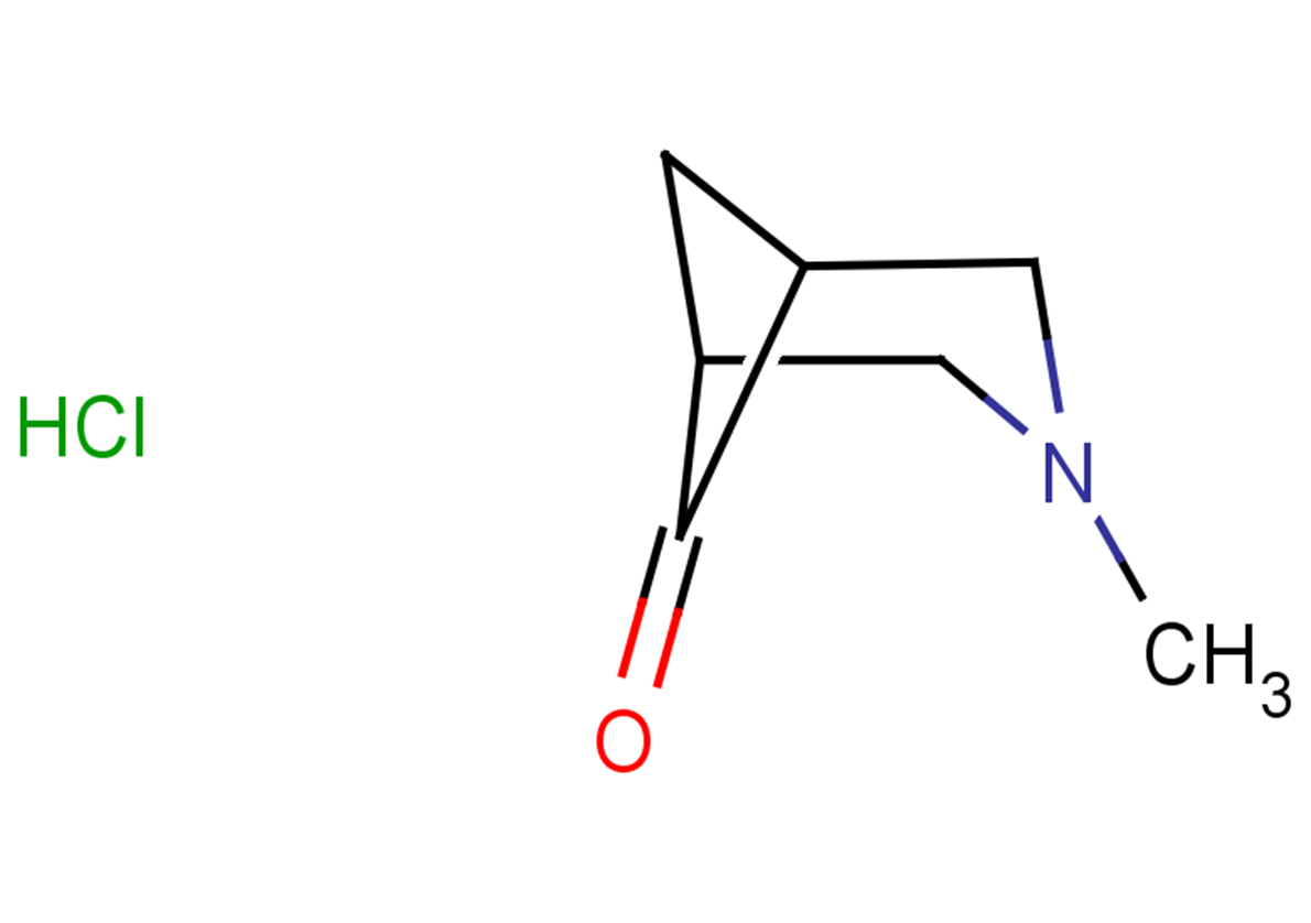 3-methyl-3-azabicyclo[3.1.1]heptan-6-one hydrochloride
