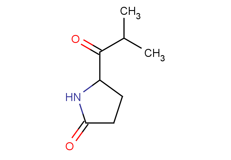 5-(2-methylpropanoyl)pyrrolidin-2-one