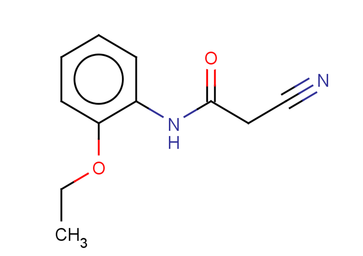 2-cyano-N-(2-ethoxyphenyl)acetamide