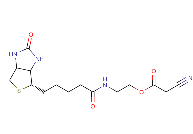 2-{5-[(4S)-2-oxo-hexahydro-1H-thieno[3,4-d]imidazolidin-4-yl]pentanamido}ethyl 2-cyanoacetate