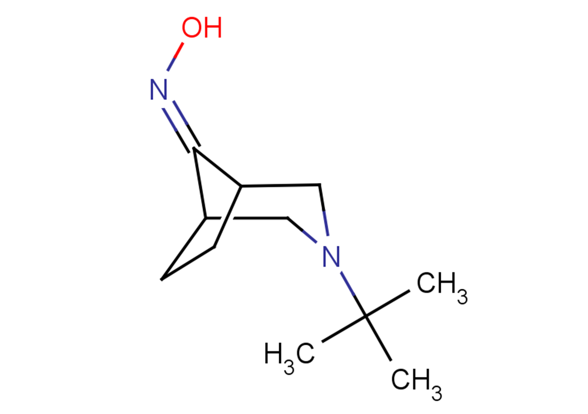 N-{3-tert-butyl-3-azabicyclo[3.2.1]octan-8-ylidene}hydroxylamine