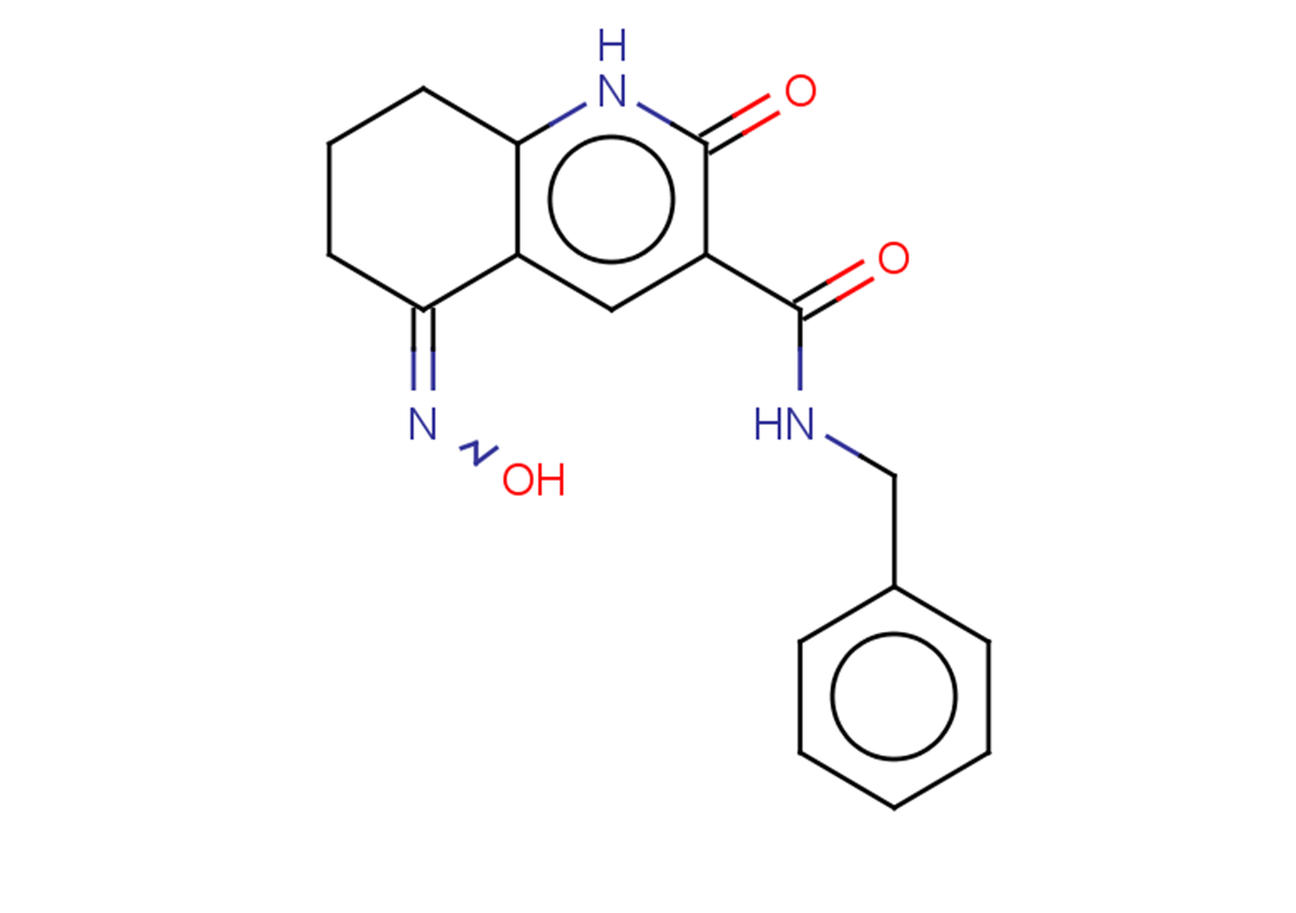 N-benzyl-5-(hydroxyimino)-2-oxo-1,2,5,6,7,8-hexahydroquinoline-3-carboxamide