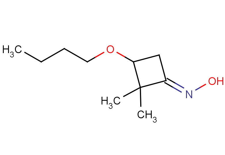 N-[(1E)-3-butoxy-2,2-dimethylcyclobutylidene]hydroxylamine
