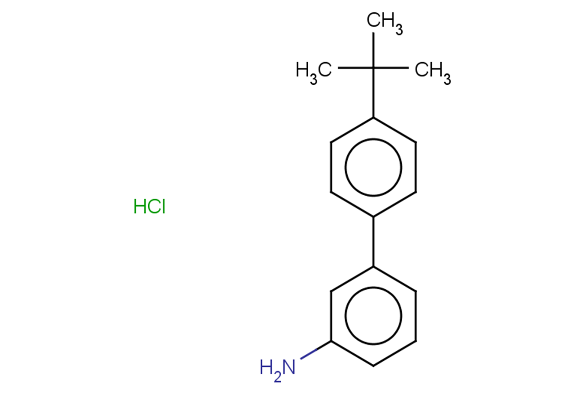 3-(4-tert-butylphenyl)aniline hydrochloride
