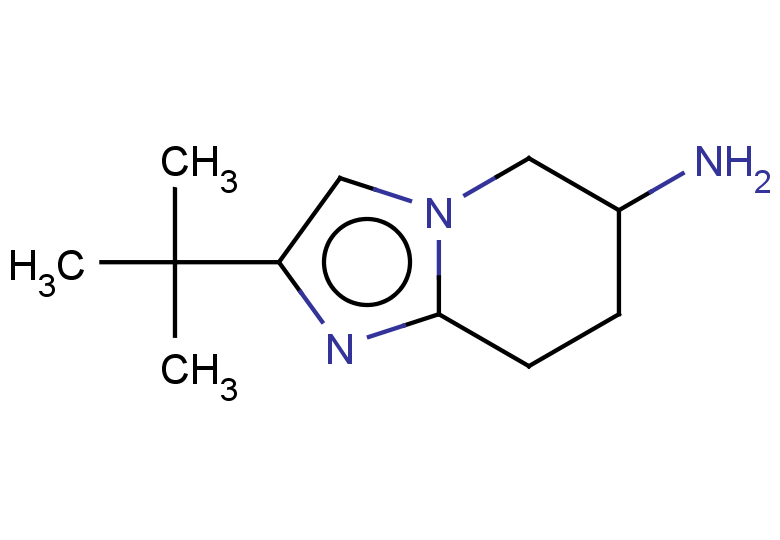 2-tert-butyl-5H,6H,7H,8H-imidazo[1,2-a]pyridin-6-amine