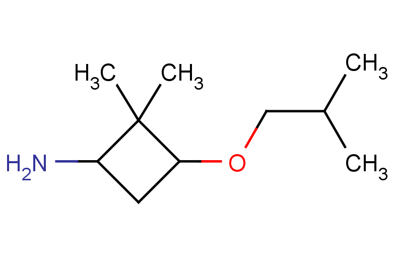 2,2-dimethyl-3-(2-methylpropoxy)cyclobutan-1-amine