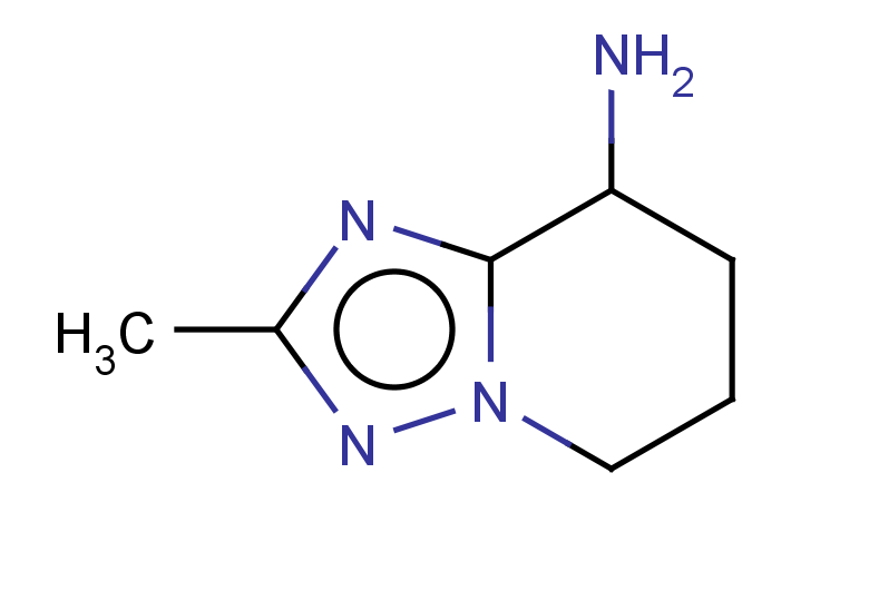 2-methyl-5H,6H,7H,8H-[1,2,4]triazolo[1,5-a]pyridin-8-amine