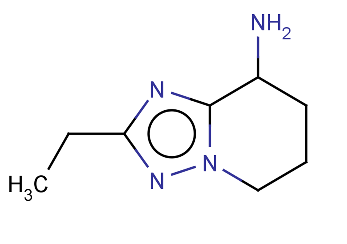 2-ethyl-5H,6H,7H,8H-[1,2,4]triazolo[1,5-a]pyridin-8-amine