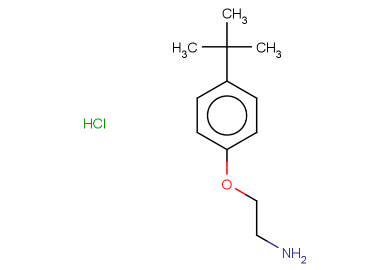1-(2-aminoethoxy)-4-tert-butylbenzene hydrochloride