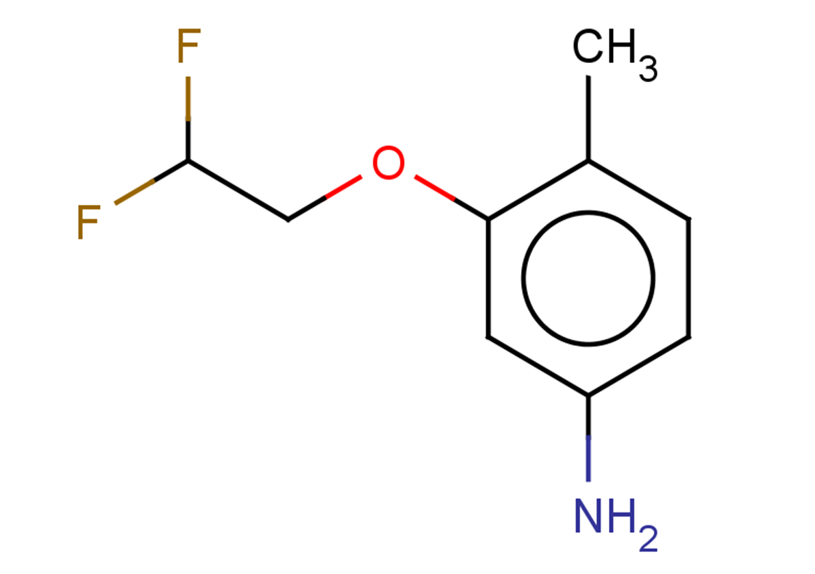3-(2,2-difluoroethoxy)-4-methylaniline