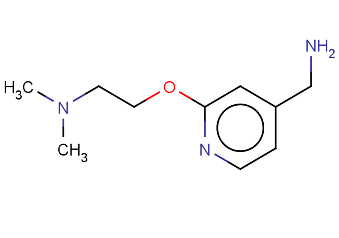 {2-[2-(dimethylamino)ethoxy]pyridin-4-yl}methanamine