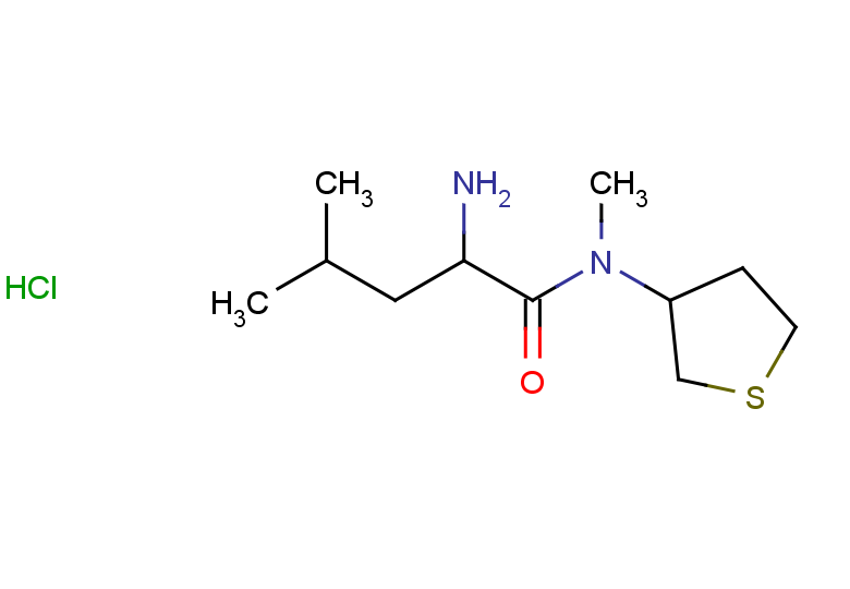 2-amino-N,4-dimethyl-N-(thiolan-3-yl)pentanamide hydrochloride