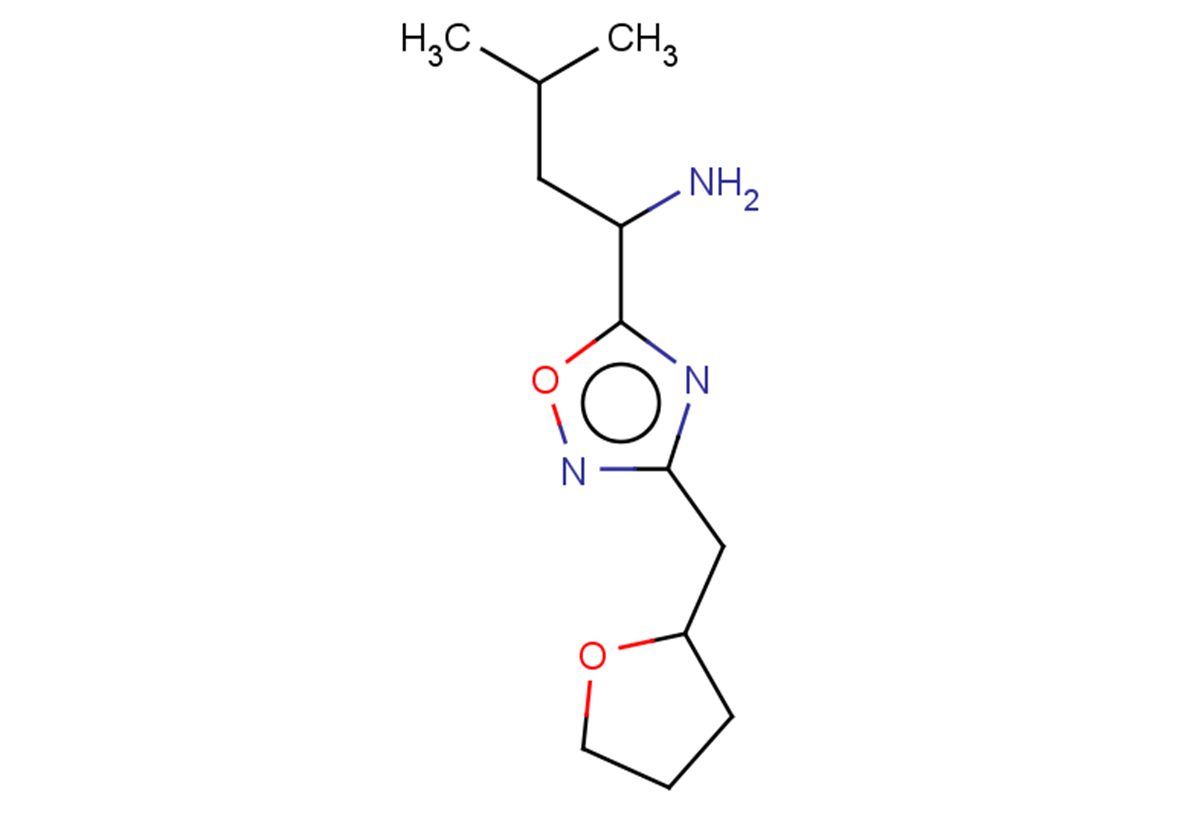 3-methyl-1-[3-(oxolan-2-ylmethyl)-1,2,4-oxadiazol-5-yl]butan-1-amine