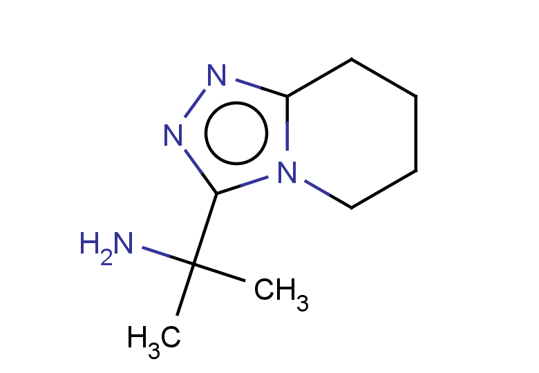 2-{5H,6H,7H,8H-[1,2,4]triazolo[4,3-a]pyridin-3-yl}propan-2-amine