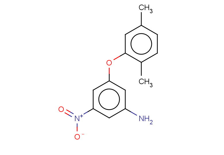 3-(2,5-dimethylphenoxy)-5-nitroaniline