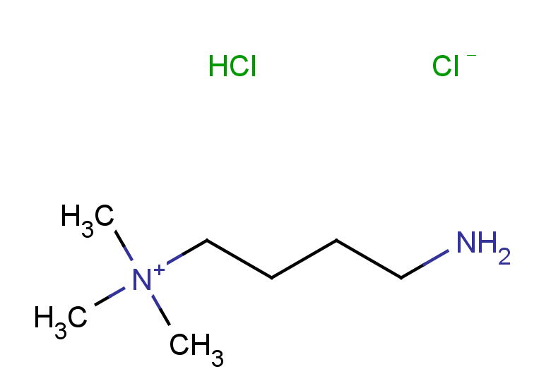 (4-aminobutyl)trimethylamine dihydrochloride