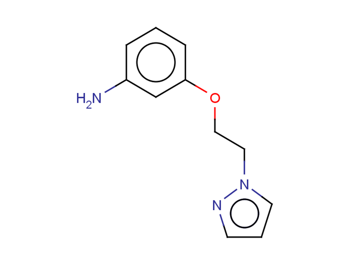 3-[2-(1H-pyrazol-1-yl)ethoxy]aniline