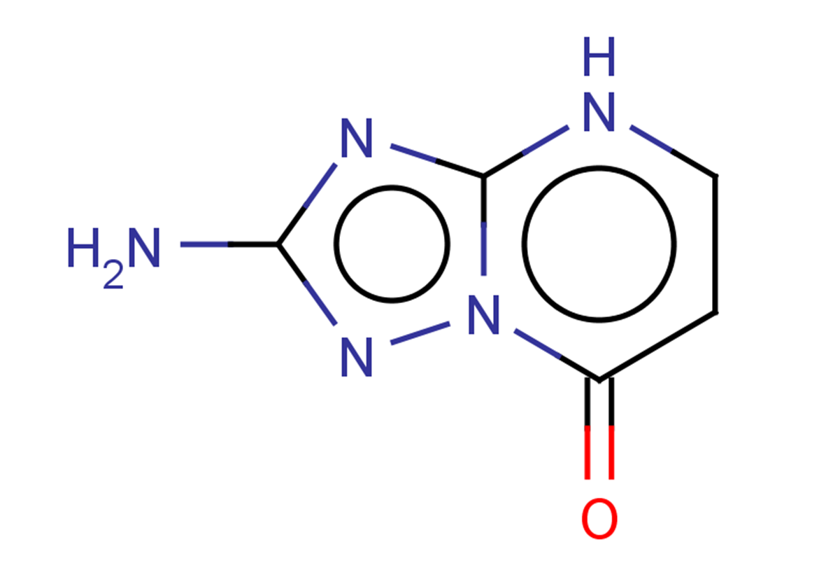 2-amino-4H,7H-[1,2,4]triazolo[1,5-a]pyrimidin-7-one