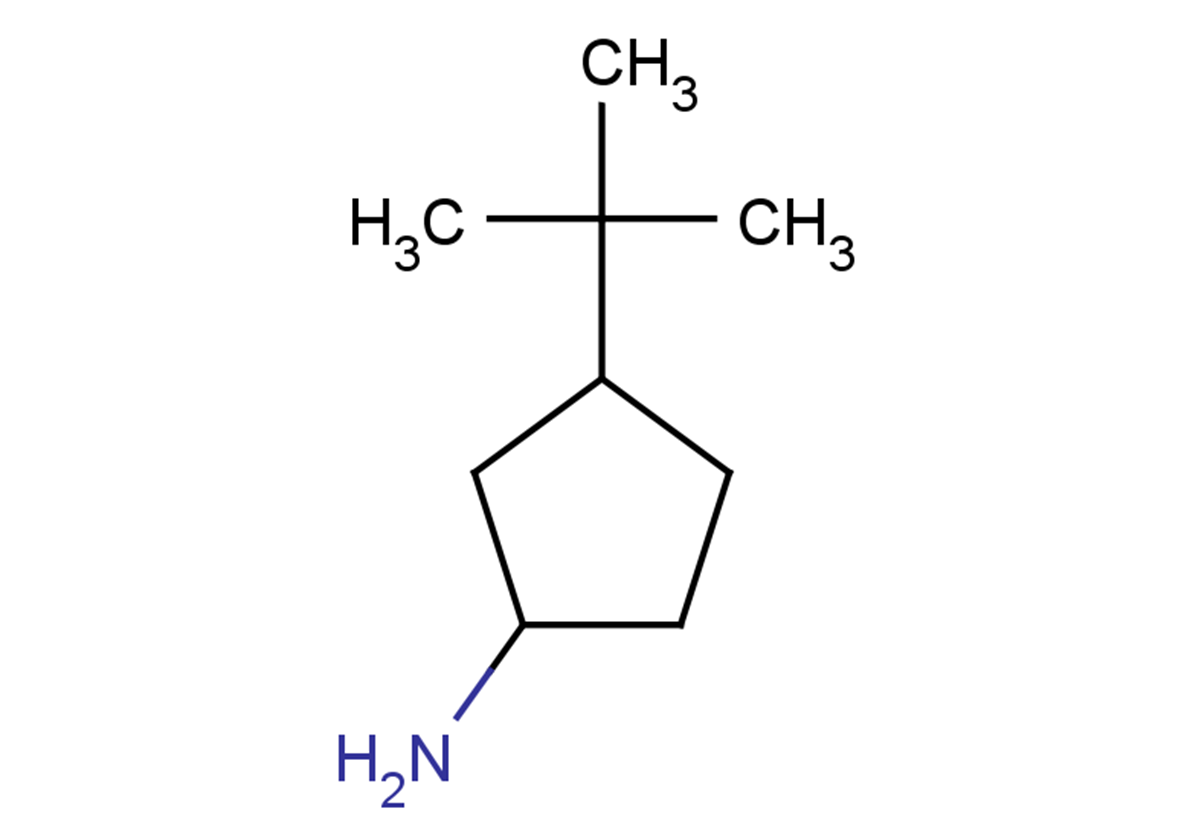 3-tert-butylcyclopentan-1-amine
