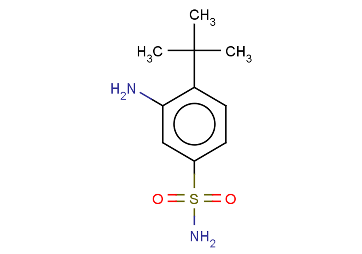 3-amino-4-tert-butylbenzene-1-sulfonamide