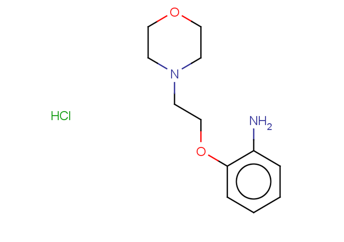 2-[2-(morpholin-4-yl)ethoxy]aniline hydrochloride