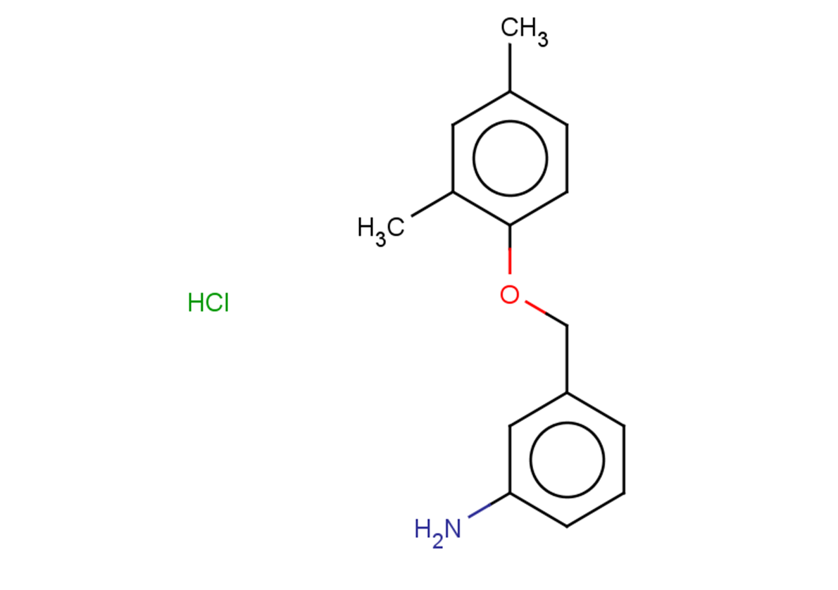 3-[(2,4-dimethylphenoxy)methyl]aniline hydrochloride