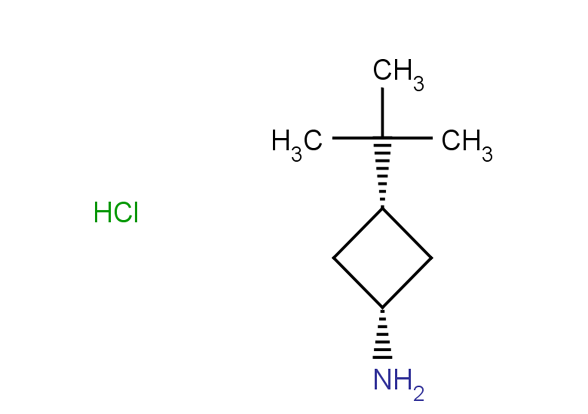 (1s,3s)-3-tert-butylcyclobutan-1-amine hydrochloride, cis